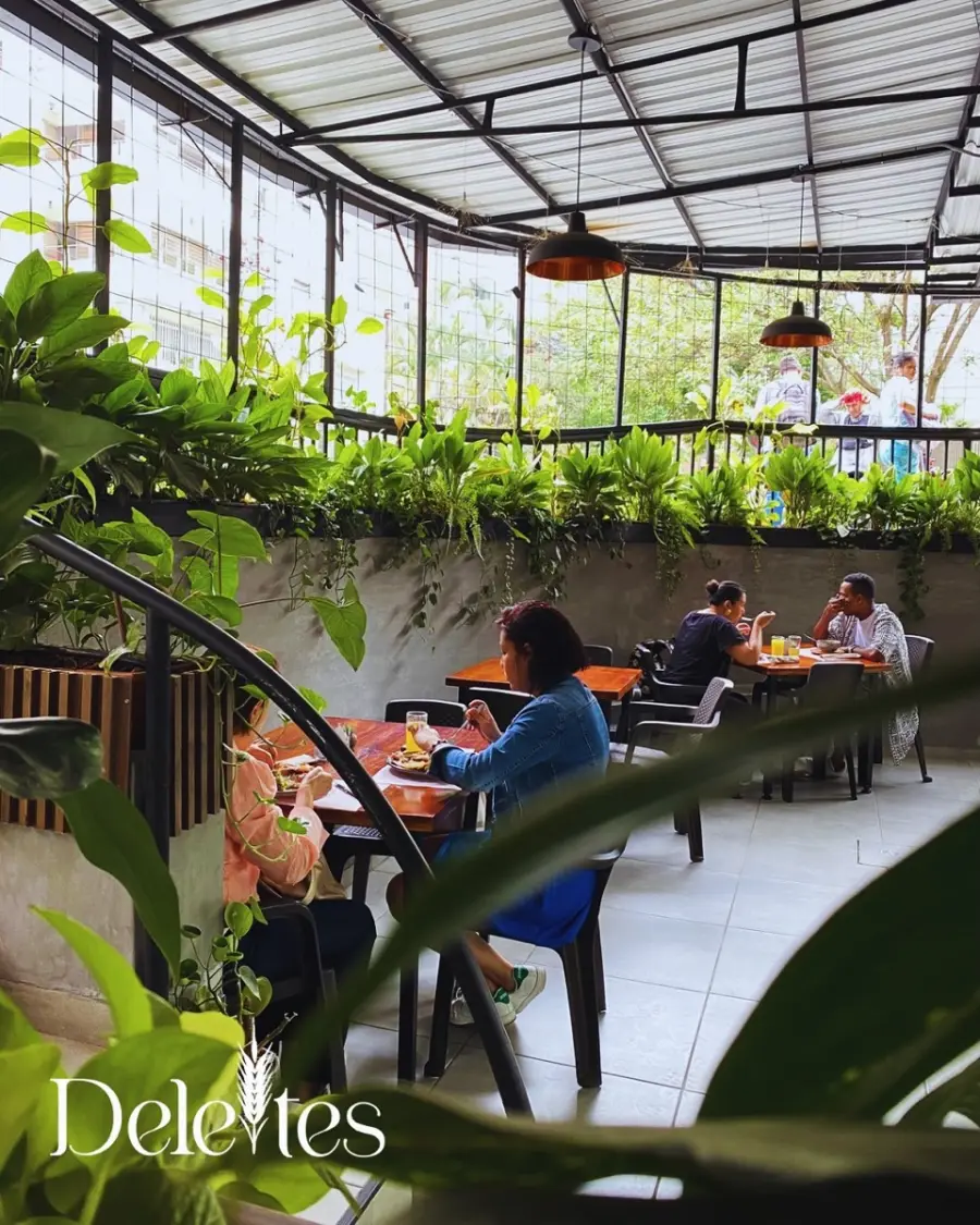 Terraza de Deleites rodeada de plantas, bajo un techo traslúcido